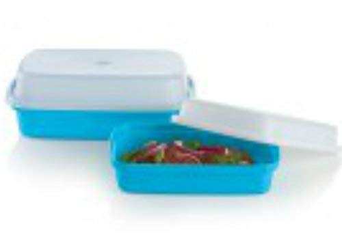 Tupperware Season-Serve Container Reg & Jr Marinade Set Blue