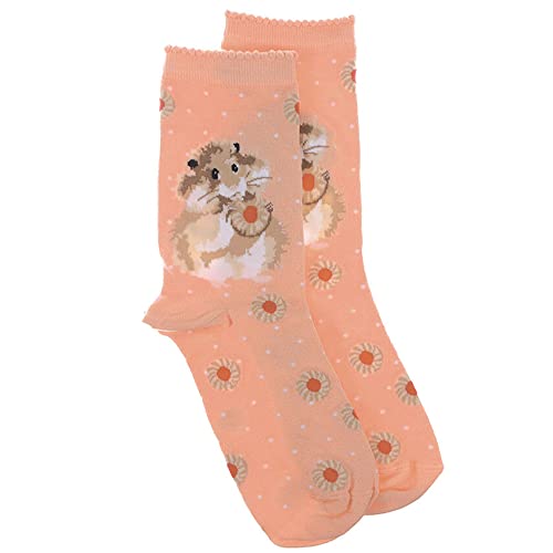 Wrendale Designs Socken, runder Hamster, Orange
