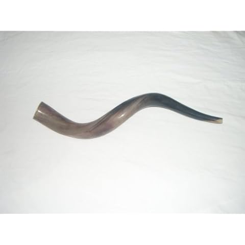 70-79 cm (28"-31") Kudu Yemenite HORN SHOFAR KosherALL Polished New Cover