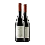 Guiberteau Saumur Saumur-Champigny 75 cl Vino tinto (Caja de 2 Botellas de 75 cl)