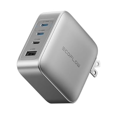 EF EcoFlow Rapid Pro Charger (140W, 4 Ports), 1...