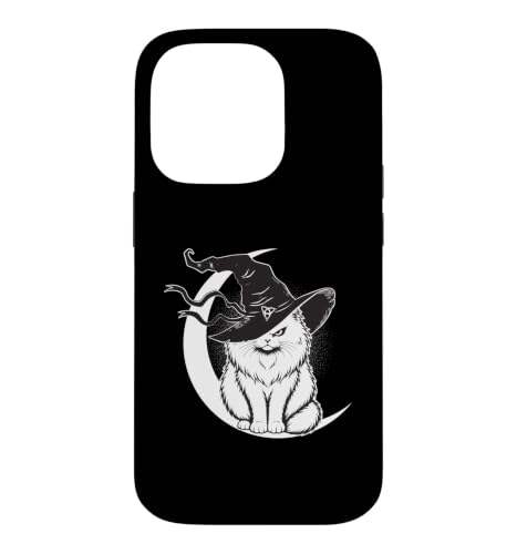 �y���V���L ���� �X�q �O���� �ی� �V���{�� �|�� �X�}�z�P�[�X iPhone 14 Pro �p