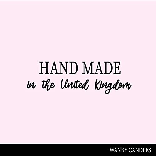 Wanky Candle - 'in a World Full of C**ts, You’re My Favourite' Rude & Funny Black Jar Candle Pomegranate & Fig WCBJ118 - Image 4