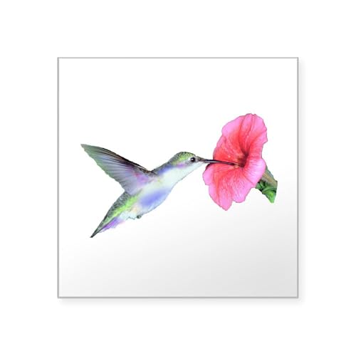 CafePress Hummingbird On Hibiscus Square Sticker 3 X 3 Square Bumper Sticker Car Decal