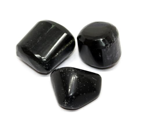 Tourmaline noire naturelle Shivalays en lot de 2 pierres d'ancrage