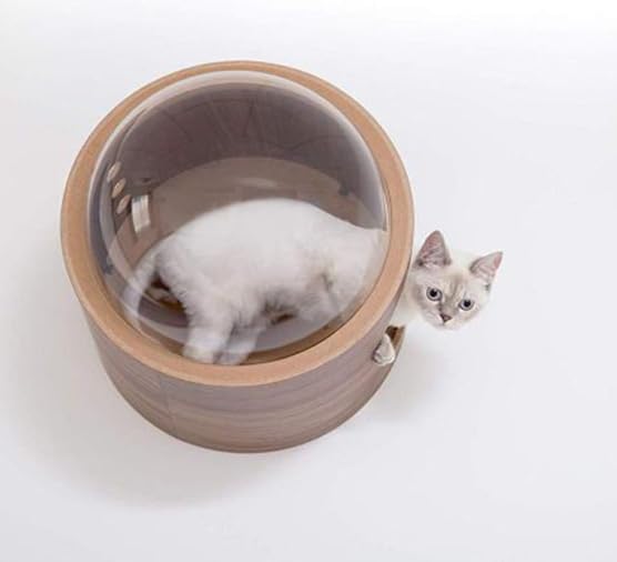 アップセット オーダースパイク 28.5cm デサント 野球 白スパイク