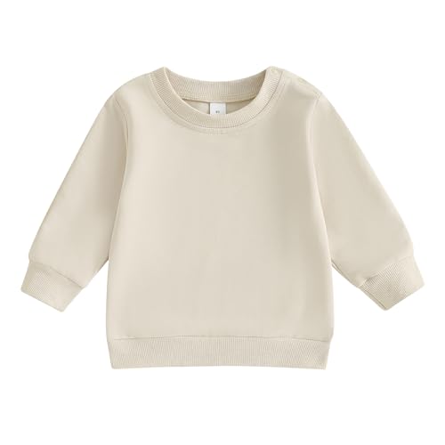Toddler Baby Boys Sweatshirts Long Sleeve Crewneck Solid Color Pullover Fall Tops