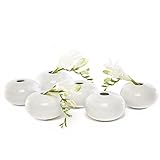 Chive - Set of 6 JoJo Small Oval Ceramic Flower Vase, Decorative Modern Floral Vase for Home Decor Living Room Centerpieces and Events, Cute Bud Vase (White)