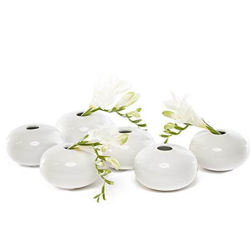 Chive - Set of 6 JoJo Small Oval Ceramic Flower Vase, Decorative Modern Floral Vase for Home Decor Living Room Centerpieces and Events, Cute Bud Vase (White)