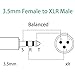 JOMLEY XLR to 3.5mm Adapter, Balanced 3.5mm 1/8 inch Mini Jack Female to XLR Male Stereo Audio Adapter Cable - 1ft
