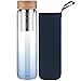 Reeho Bottiglia da tè in Vetro con Infusore in Acciaio Inossidabile, 1 litro / 1000 ml Borraccia in Vetro Borosilicato con Coperchio Bambù e Custodia in Neoprene