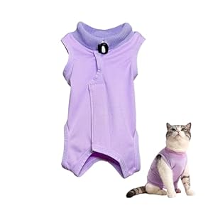 1 vêtement de stérilisation pour chats femelles, vêtements pour chats après chirurgie, vêtements de sevrage anti-fuite pour chatons, manteau pour chat (taille M)