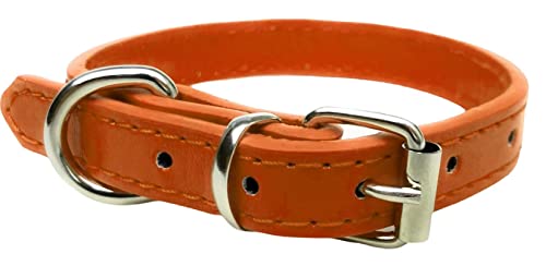 Lebendiges Leder-Hundehalsband & Leine-Kombinationsset für Welpen, kleine, mittlere & große Hunde (Mittel (28 cm - 36 cm Hals), Orange)