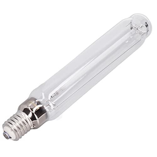 Lumière de remplissage pour plantes manquant de soleil en intérieur