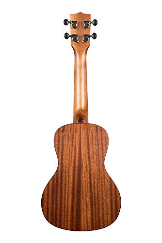 Kala KA-SMHC All-Solid Mahogany (+ housse) – Ukulele Concert - Les Beatles, Paul McCartney, John Lennon, RIngo Starr, George Harrison Kala KA-SMHC All-Solid Mahogany (+ housse) - Ukulele Concert – Image 3
