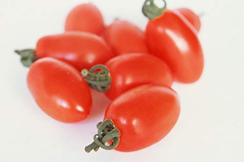 Creative Farmer Vegetable Seeds Sweetest Tomatoes Seeds - Cherry Tomato ?Seeds Home Garden Seeds (B07N488GLJ) Amazon Price History, Amazon Price Tracker