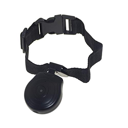 Digital Color Gift Box Package Dog Tracker Pet Collar Cam Camera DVR Video
