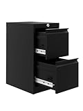  Aktenschrank mit 2 Schubladen, 38L x 45W x 73H cm Aktenschrank unter Schreibtisch, Abschließbarer Büroschrank unter Schreibtisch für Büro, Homeoffice