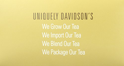 Davidson's Tea Single Serve Herbal Seasons, 100-Count Tea Bags #TOP2