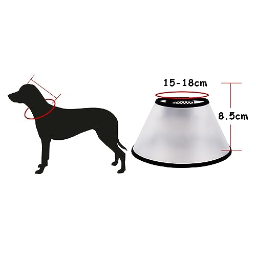 RTRTGS Forma Cono per Cane Gatto，Collare
