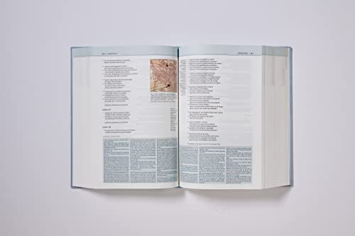 Image of NVI, Biblia de Estudio Teologia Biblica, Interior a cuatro colores, Tapa dura: Sigue el plan redentor de Dios como se desenlaza en las Escrituras (Spanish Edition)