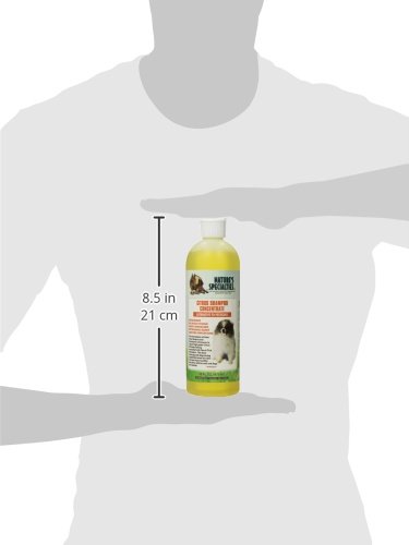 Image of Nature's Specialties Citrus Ultra Concentrated Dog Shampoo for Pets, Makes up to 2 Gallons, Natural Choice for Professional Groomers, Alternative to Shampoo, Made in USA, 16 oz