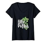 Pothos Plant - Indoor Gardening Lover Gift