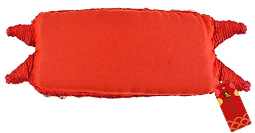 UAPAN Brass Ghungroo Anklets Bells (5 Line Double string Pad, Red, Pair)