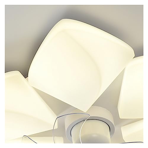Ventilateur de plafond LED à fréquence variable pour chambre et salon - 3
