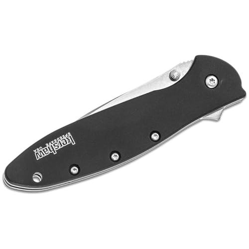 Image of Kershaw Leek, BlackWash Pocket Knife (1660BLKW); 3 Sandvik 14C28N Steel Blade, 410 Stainless Steel Handle, BlackWash Finish, SpeedSafe Assisted Open, Frame and Tip Locks, Reversible Pocketclip; 3 OZ