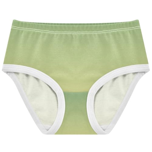 Joisal Girls Underwear Toddler 2t Cotton Panties Little Girl Fancy Undies Kids Briefs Dinosaur Green Light Khaki Gradient