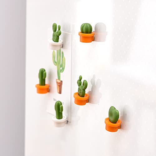 ERYUE Ímãs bonitos do refrigerador, 6 Pcs Ímãs de Geladeira Em Forma de Cacto Bonito Imãs de Geladei