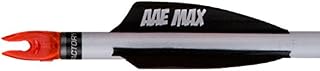 AA & E AAE Plastifletch Max Shield Vanes (100 Pack), Black, 2"
