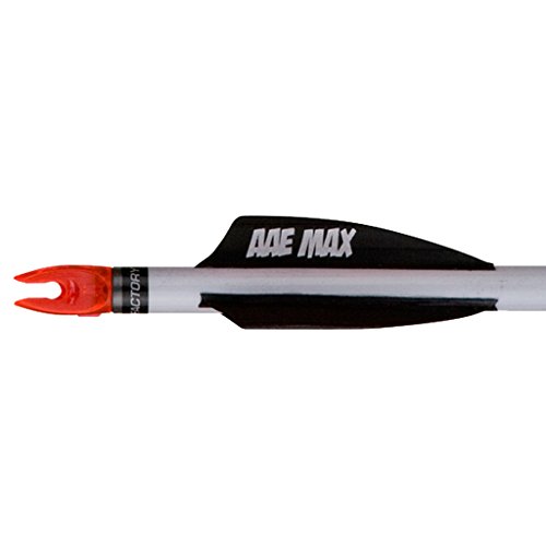 AA & E AAE Plastifletch Max Shield Vanes (100 Pack), Black, 2"