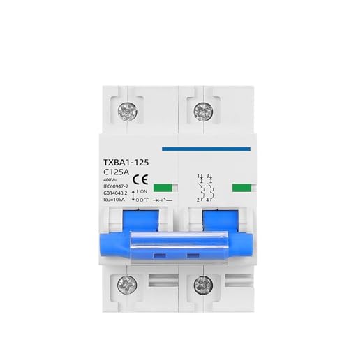 Protector contra sobrecarga DZ47 125A frena averías eléctricas