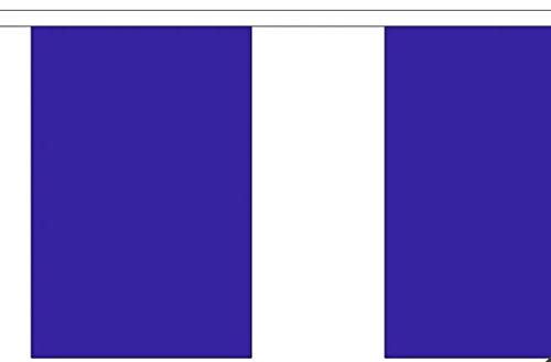 Plain Blue Bunting - 9 Metre Bunting - Polyester - 30 Flags Per 9M Length - FlagSuperstore