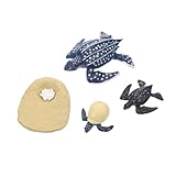 Mini figurines de tortues - simulez le cycle de vie des tortues pour aider les enfants et l'émerveillement devant la vie, jouets du cycle de croissance