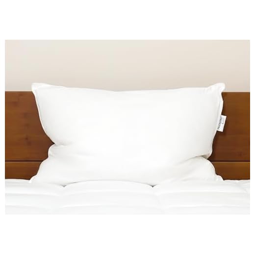 White Duck Down & Feather Pillow - Pillows with Soft-Medium Support 2-Pack