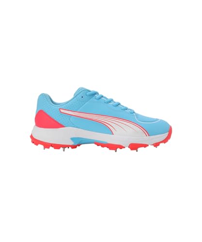 Image of Puma Mens Spike 24.2 Cricket Shoe