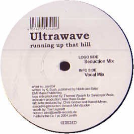 Running Up That Hill [Vinilo]