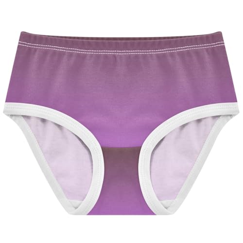 Joisal Florals Girls Underwear Toddlers 2t Cotton Panties for Girl Brown Heliotrope Gradient Ombre Briefs Kids Undies