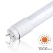 (LA) Pack 5x Tubo LED 360 grados - 120cm Standard T8 G13-18W....
