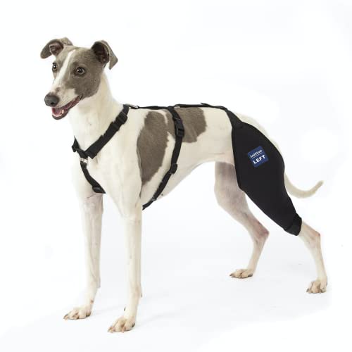 Image of Dog Knee Brace with Harness and Connection Belt, Lightweight and Stretchable, Support for Torn ACL Hind Leg, Luxating Patella, Reduces Arthritis Pain and Inflammation (Small)