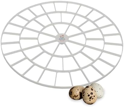 Durable Egg Tray for Nurture Right 360 Egg Incubator, 48 Quail/Bird Eggs