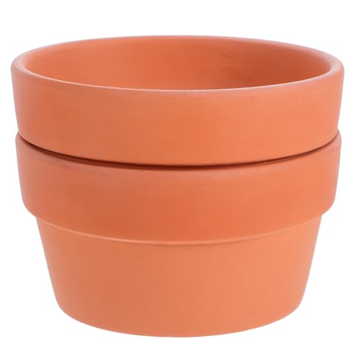 Mikikit Macetas de Terracota para Suculentas y Cactus Paquete de 2 Unidades Diámetro 125 CM con Orificio de Drenaje Macetas Pequeñas para Interiores y Decoración de Hogar