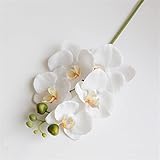 Bodhi2000 Künstliche Schmetterlings-Orchidee, Seide, 5 Köpfe, künstliche Schmetterlinge, Orchideen, Blume für Hochzeit, Büro, Zuhause, Garten, Dekoration, Weiß
