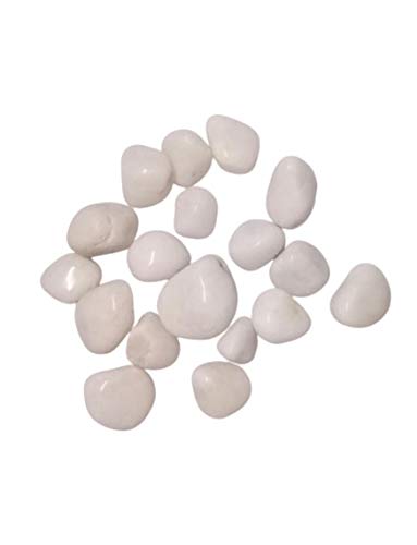 See full amazon price history chart for (1 Kg) Aquarium Filler | Decorative Stones | Pebbles for Plants Pots | Gravels (White) (1 Kg) Aquarium Filler | Decorative Stones | Pebbles for Plants Pots | Gravels (White) (B08NHBZPKM) Amazon Price History, Amazon Price Tracker