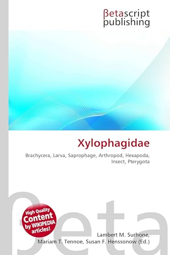 Xylophagidae: Brachycera, Larva, Saprophage, Arthropod, Hexapoda, Insect, Pterygota
