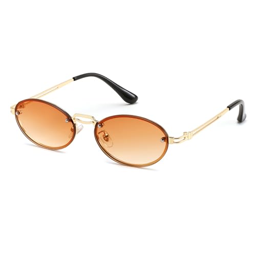 FEISEDY Retro Oval Sunglasses for Women Men Trendy Sun Glasses Classic Metal Shades UV400 Protection B02452