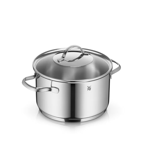 WMF Provence Plus Kochtopf groß 20cm, Glasdeckel, Fleischtopf...